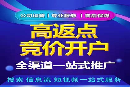 成功SEM推广代运营案例展示